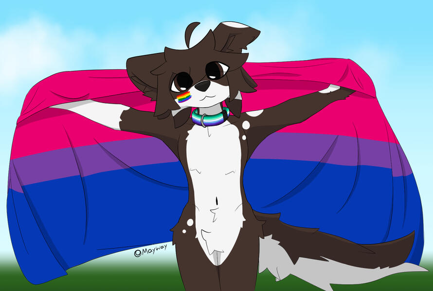 pride pride