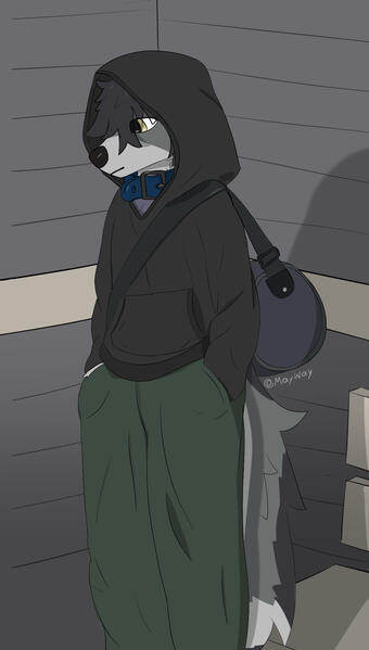 Wolf hoodie Wolf hoodie