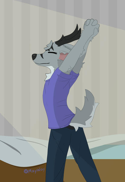 Morning stretch Morning stretch