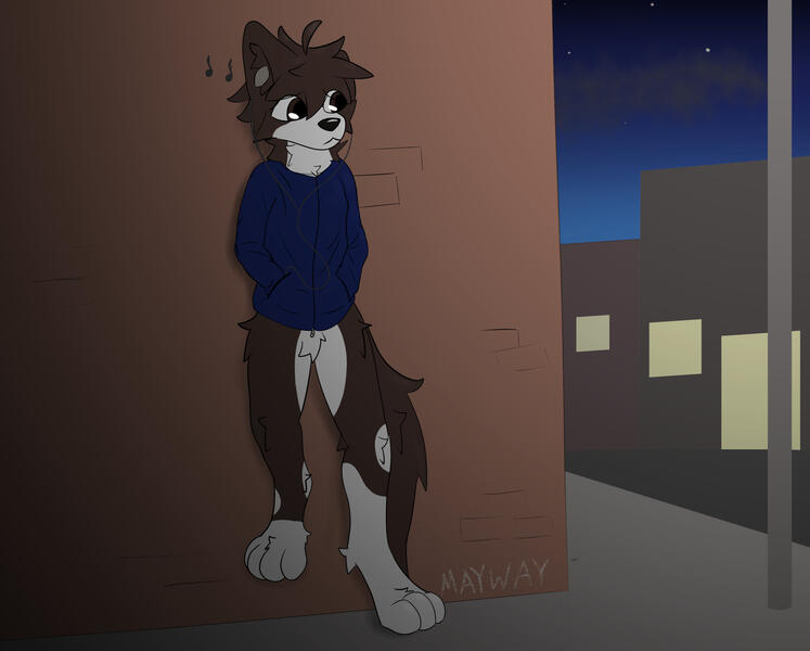 city nights city nights