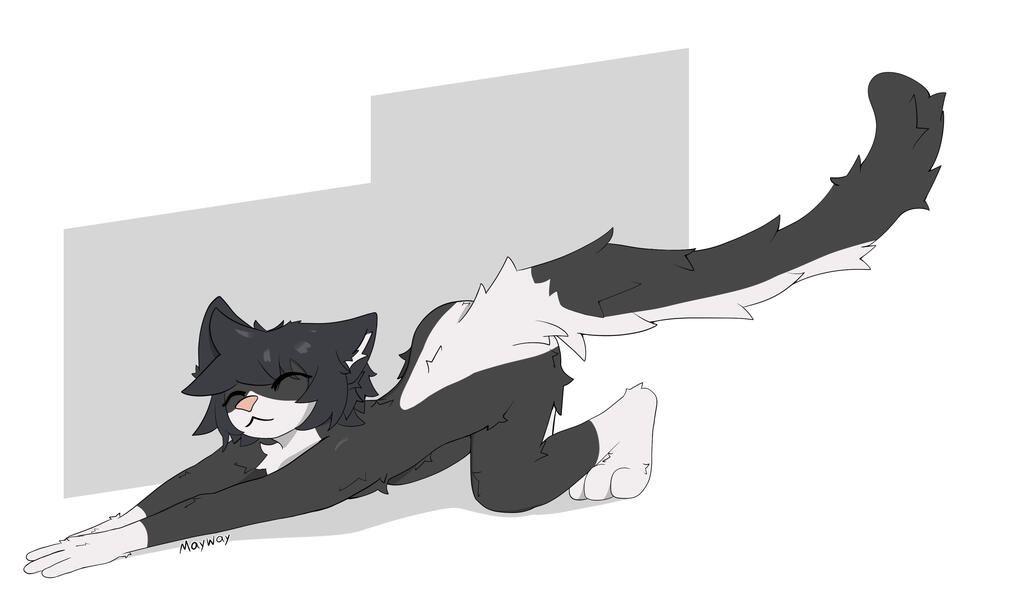 Stretchy